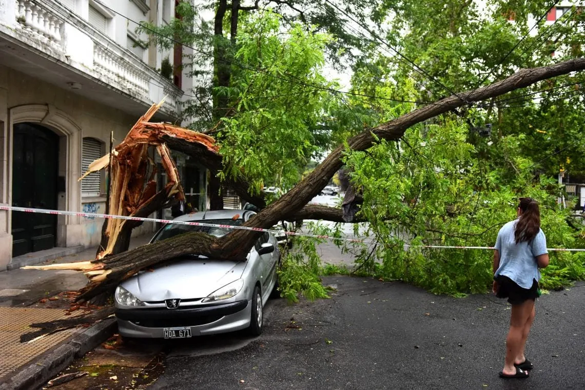 Temporal de viento en Mar del Plata