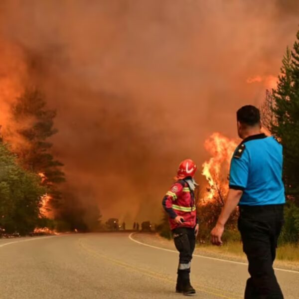 Incendios forestales