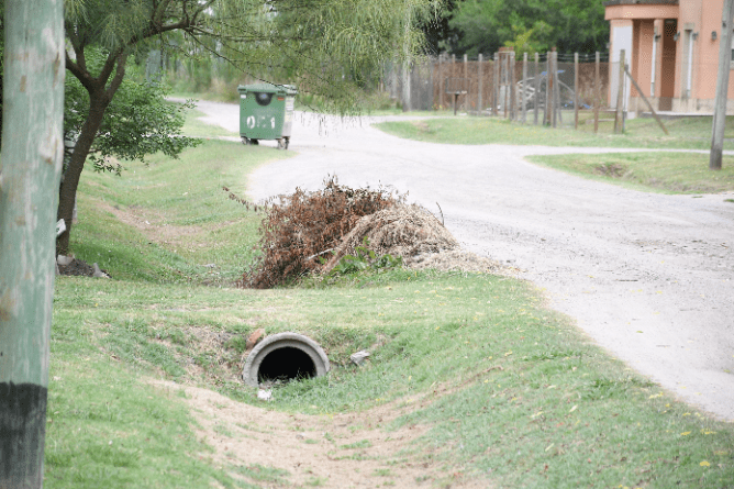 Ramas y producido del corte de pasto